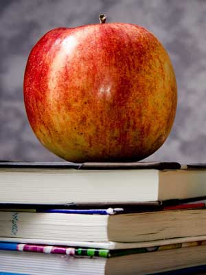 智能化升级改造的免费网络电话呼叫系统